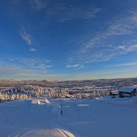 Toppvillan - Ski In - Ski Out - 200 M Till Toppen Och Cykelleder Järvsö Екстериор снимка