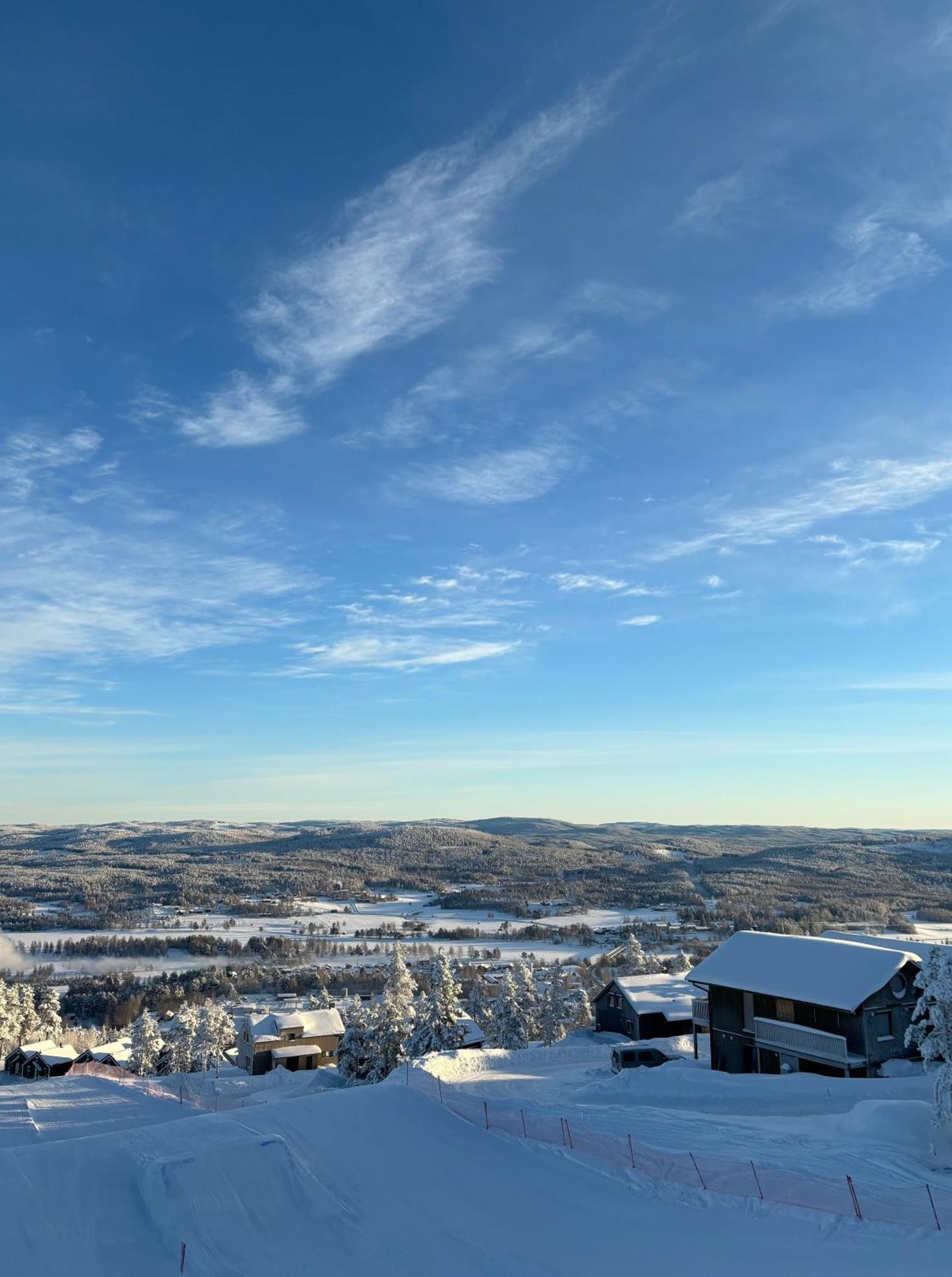 Toppvillan - Ski In - Ski Out - 200 M Till Toppen Och Cykelleder Järvsö Екстериор снимка
